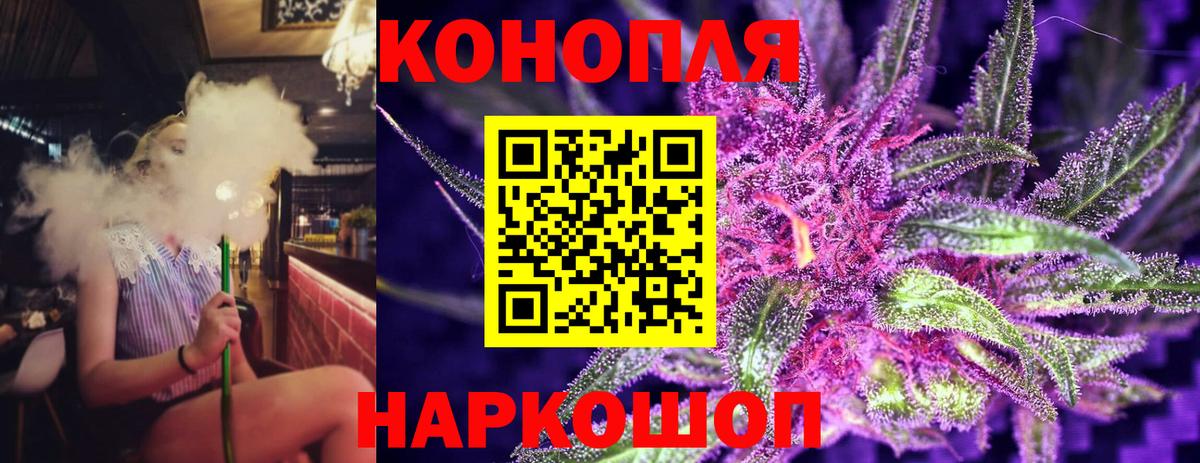 Шишки марихуана планчик  Вход с VPN  Марихуана индика  Каннабис ГИДРОПОН  Зима  Канабис конопля 